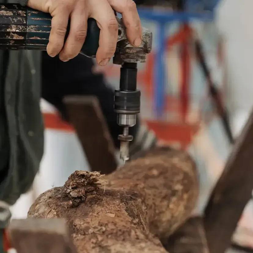 Broca especial xaponesa